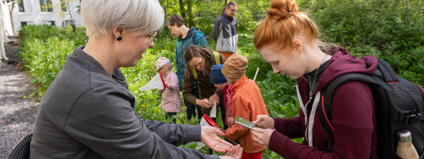 Bioblitz-kartoittajia yliopistonmäellä