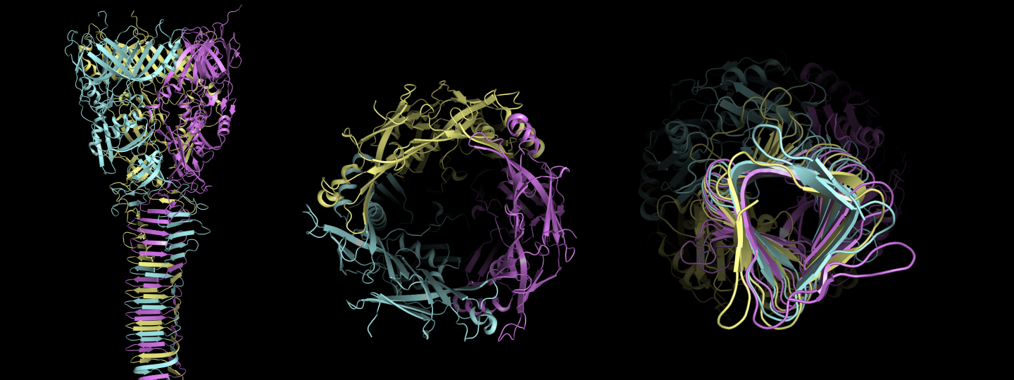 Microscopu image with molecules