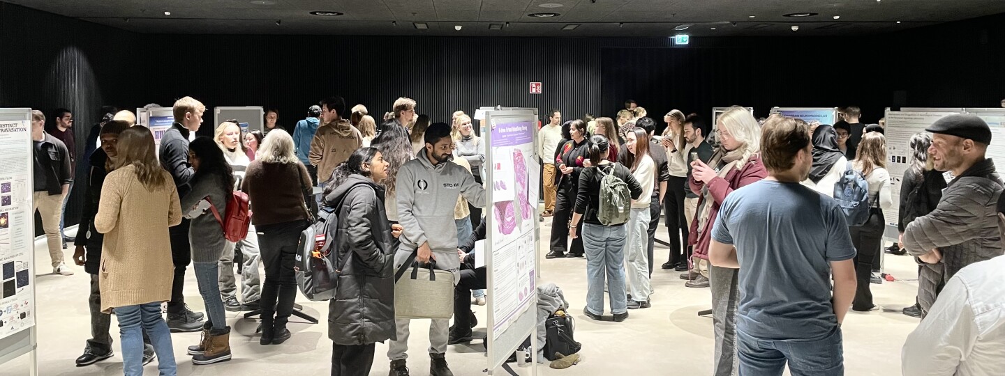 Kävijöitä MSc thesis project expo -messuilla joulukuussa