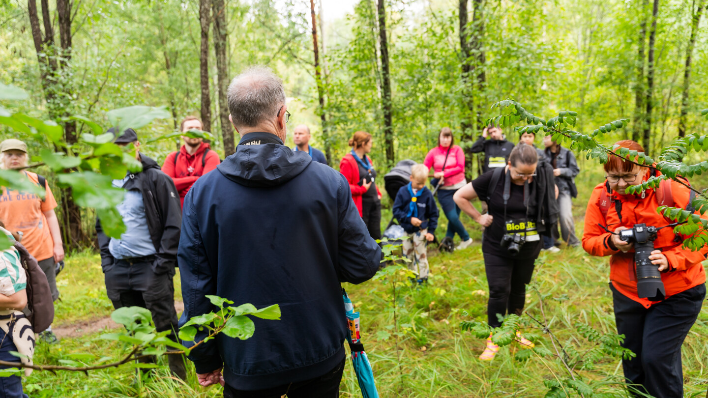 BioBlitz-Skanssi-elokuu-2024-286.jpg