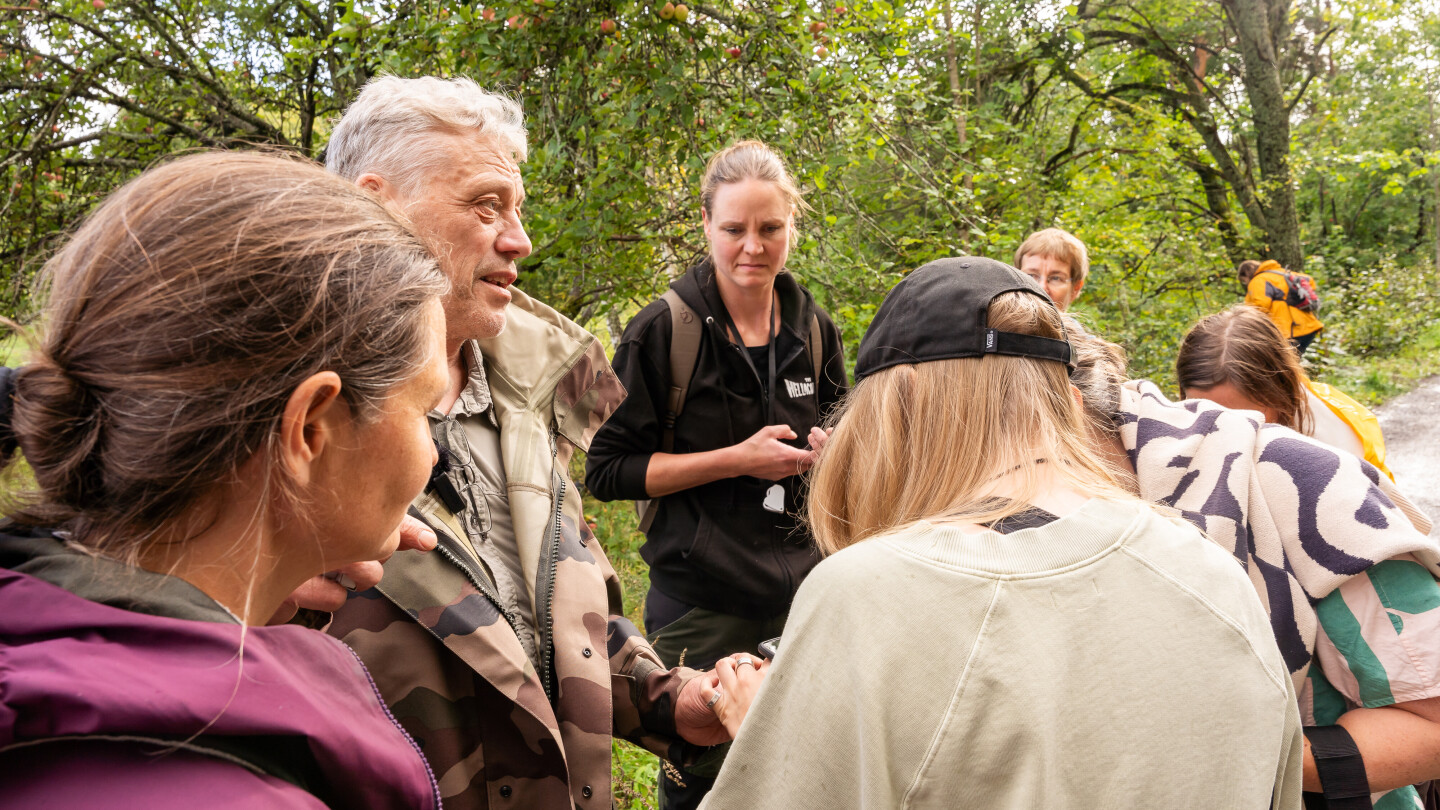 BioBlitz-Skanssi-elokuu-2024-504.jpg