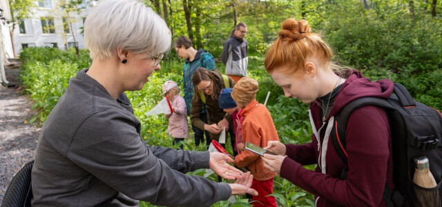 Bioblitz-kartoittajia yliopistonmäellä