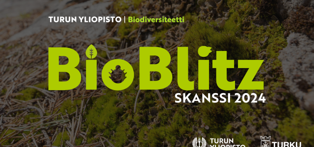 Aurinkoinen lähikuva sammaleista ja männyn neulasista maassa, ja kuvan päällä iso vihreä tekstilogo BioBlitz, Skanssi