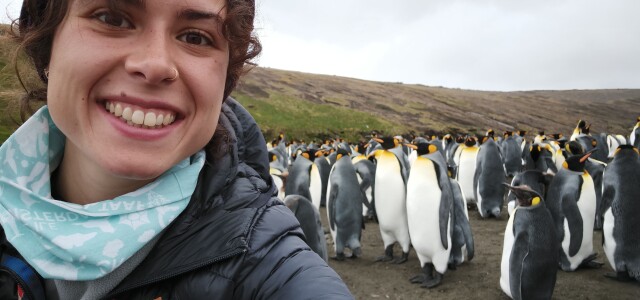 Nina Cossin-Sevrin, ashore of the king penguin colony