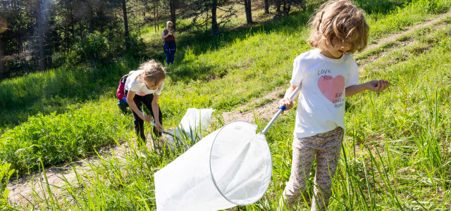 BioBlitz-Skanssi-2024-396.jpg