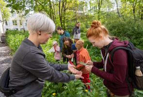 Bioblitz-kartoittajia yliopistonmäellä