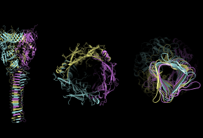 Microscopu image with molecules