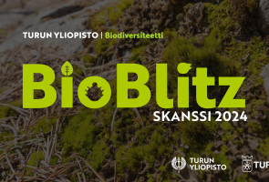 Aurinkoinen lähikuva sammaleista ja männyn neulasista maassa, ja kuvan päällä iso vihreä tekstilogo BioBlitz, Skanssi