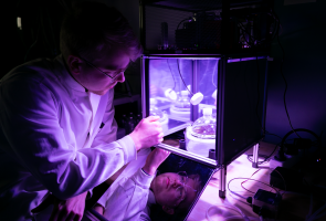 Juuso Triipponen laboratoriossa violetissa valaistuksessa