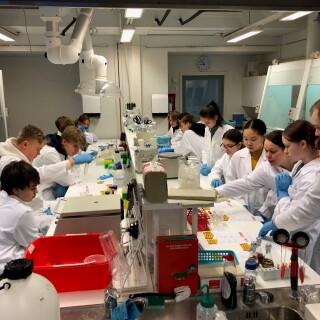 Group of students doing a demo in a lab