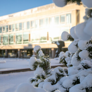 kampus talviaamuna / campus in the winter morning